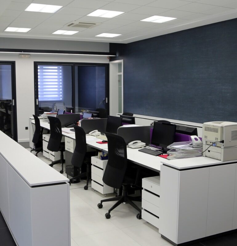 Open-plan office with sound panels and plant decor